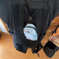 ユニクロリュック！の画像
