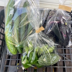 夏野菜、一袋100円