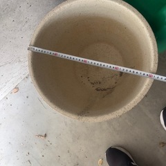 陶器製の植木鉢　ハチ　カメの画像