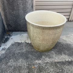 陶器製の植木鉢　ハチ　カメの画像
