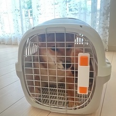 ペットキャリー・ペットハウス(便利なトップオープン)の画像
