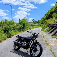 カワサキ・TR250ccカスタムの画像