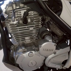 セロー250の画像