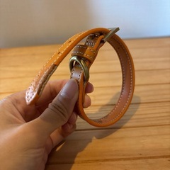 128 首輪　リード用　の画像