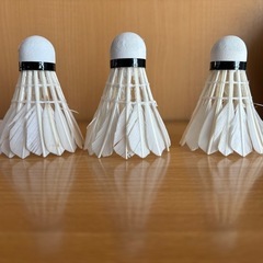 バトミントン シャトルの画像