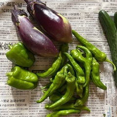 野菜 きゅうり 茄子 の画像