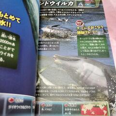 ハンター狩りをする生物たち 生物のふしぎ大図鑑の画像
