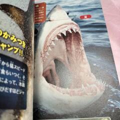 ハンター狩りをする生物たち 生物のふしぎ大図鑑の画像