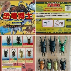 立体昆虫図鑑　世界のクワガタ　恐竜博士　カードゲーム　の画像