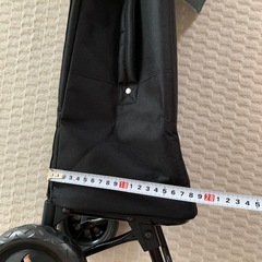 
キャリーの画像
