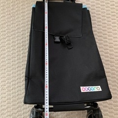 
キャリーの画像