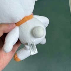 ポケモン ぬいぐるみ セットの画像