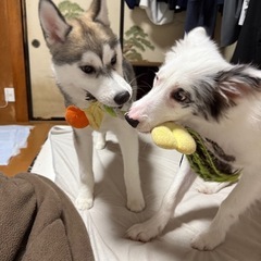 近郊のツーリング仲間募集