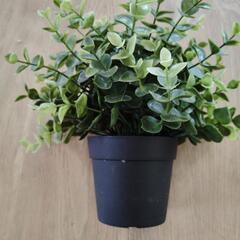 造花の画像