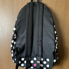 Dickiesリュックの画像