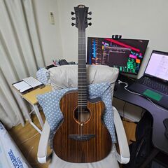 Guitar ギター LAG + Grass Roots + supportの画像