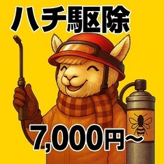 🐝ハチの巣駆除やってます｜ 夕方以降対応＆7,000円〜で安心！...