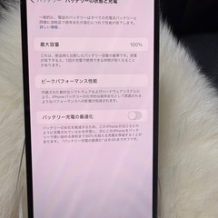 iphone 13PRO MAX 256GB シェラブルー 国内版SIMフリーの画像