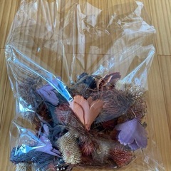 ハロウィン　ガーランド　スタディオクリップ　ハロウィーン　収穫祝いのガーランドの画像