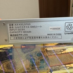ルルド　EMSの画像