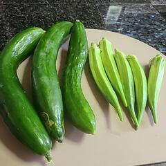 朝どりキュウリ3本とオクラ5本