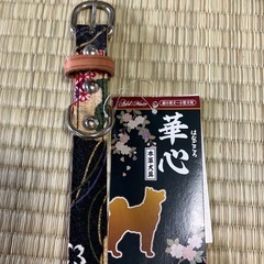 犬用首輪　の画像