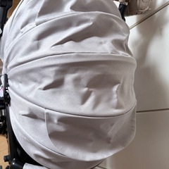 ラクーナビッテクッションの画像
