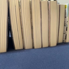 小説ログ・ホライズン 本編 全11巻の画像