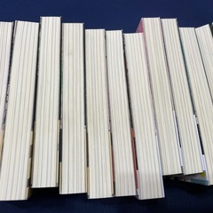 小説ログ・ホライズン 本編 全11巻の画像