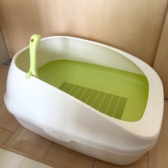 【美品】デオトイレ 限定色 グリーンの画像