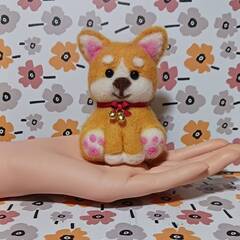 羊毛フェルト柴犬　おやつのホネほしいなぁの画像