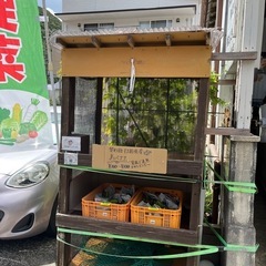 🌱採れたてバナナ追加販売中🌱(8/9)の画像