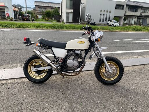 ホンダ  Ape  エイプ50  タケガワ S-ステージ  80cc  ボアアップKIT  ハイカム付き  ディスク仕様  実動  書類付き  吹け上がり良好  通勤  通学  カスタムベースにも