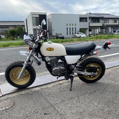 ホンダ  Ape  エイプ50  タケガワ S-ステージ  80cc  ボアアップKIT  ハイカム付き  ディスク仕様  実動  書類付き  吹け上がり良好  通勤  通学  カスタムベースにもの画像