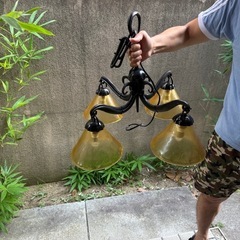 照明の画像