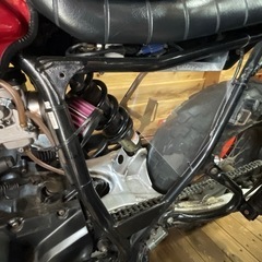 YAMAHA TW200の画像