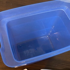 ミルトン
の画像