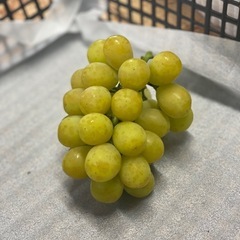 【糖度20度以上！✨】めちゃあまシャイン1kg🍇✨の画像