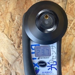 【糖度20度以上！✨】めちゃあまシャイン1kg🍇✨の画像