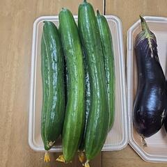  朝採り野菜の画像