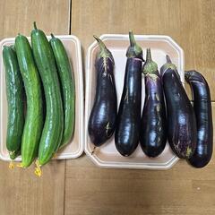  朝採り野菜の画像