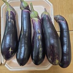  朝採り野菜の画像