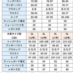 水着 レディース 体型カバー フィットネス ラッシュガード（５Ｌ）５点セットの画像