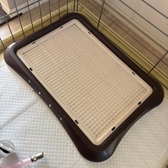 犬ゲージの画像