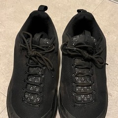 ハイキングシューズ　25cm ワークマンの画像