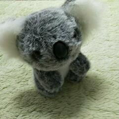新品未使用可愛いいコアラ🐨のぬいぐるみの画像