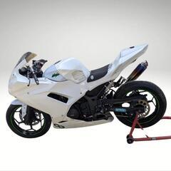 カワサキ ニンジャ 250 レーシングカー レースキット オプション付きの画像