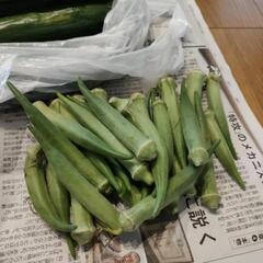 農薬不使用　野菜セットの画像