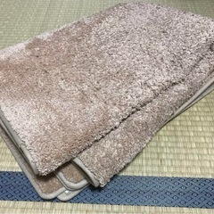 ベージュマット 100✖️150の画像