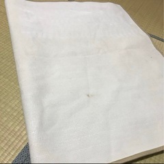 ベージュマット 100✖️150の画像